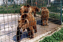 paper-two-november-2019-small